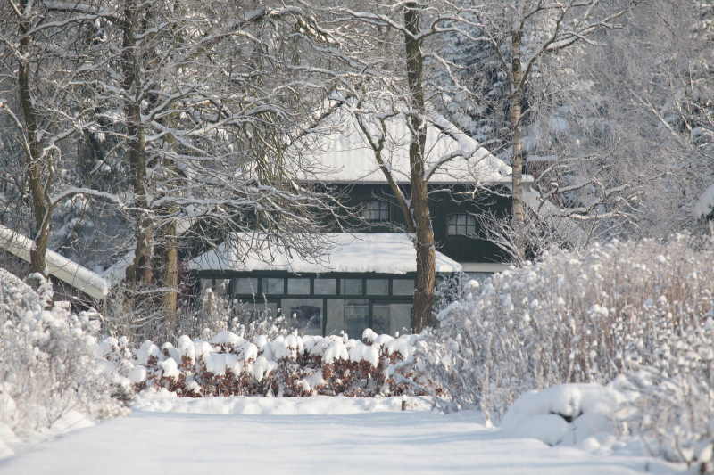 Ons huis 03-01-2010