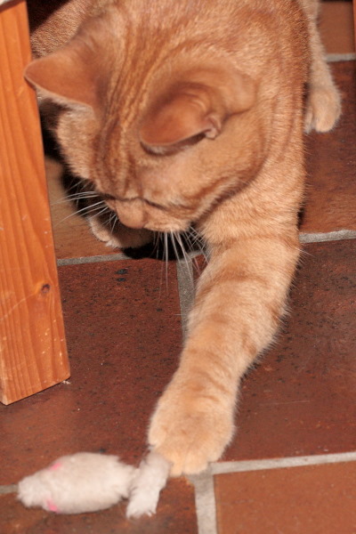 ik met mijn muis