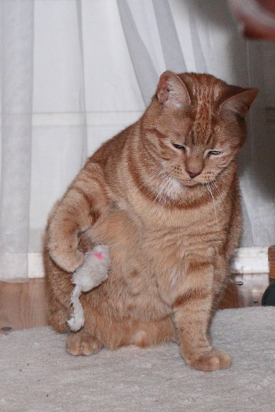 ik met mijn muis