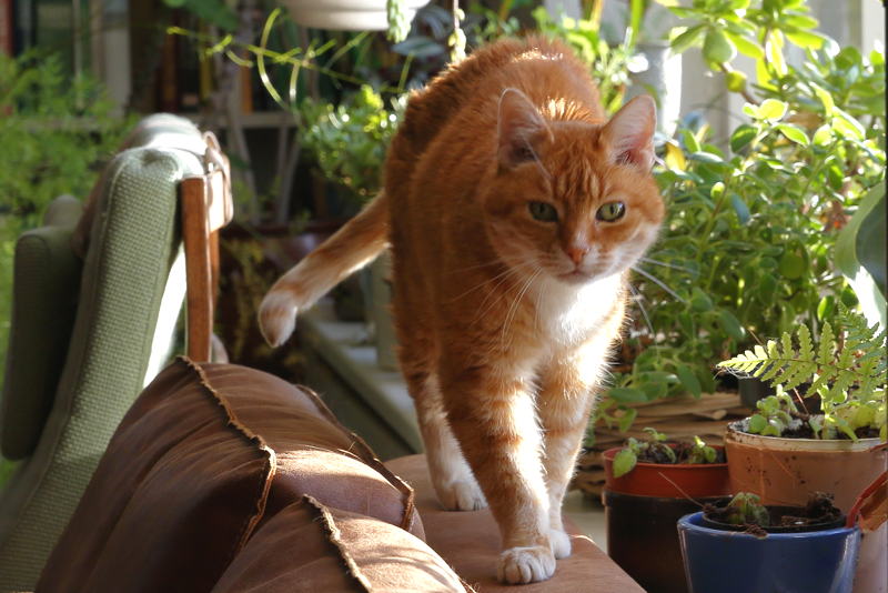 Dan mag ik nu wel op schoot zeker?