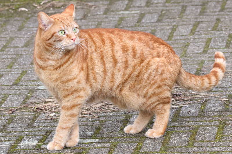 25-02-2025 schrikkerig ben ik wel