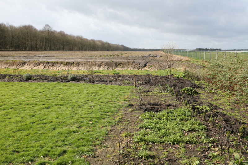 Achter de zaksloot de nieuwe tuin