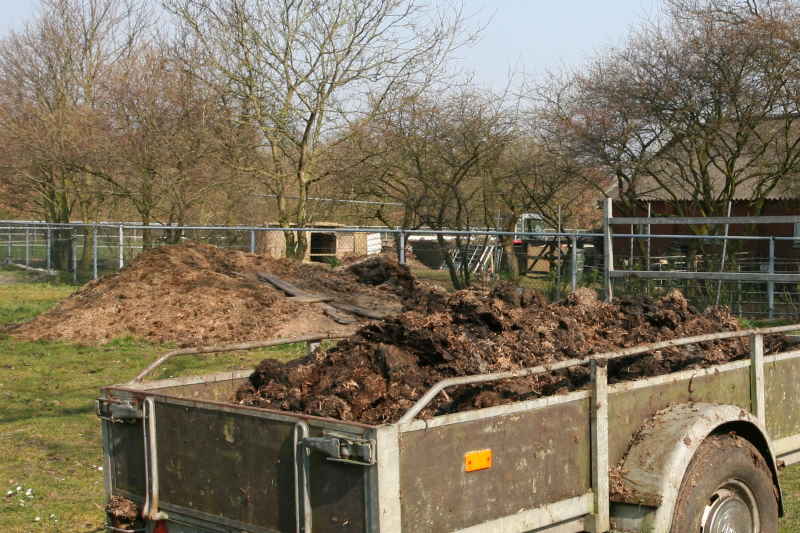Het is heel handig als de buren paarden houden