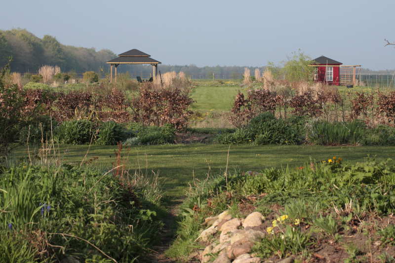overzicht tuin