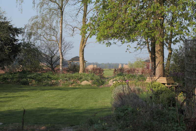overzicht tuin