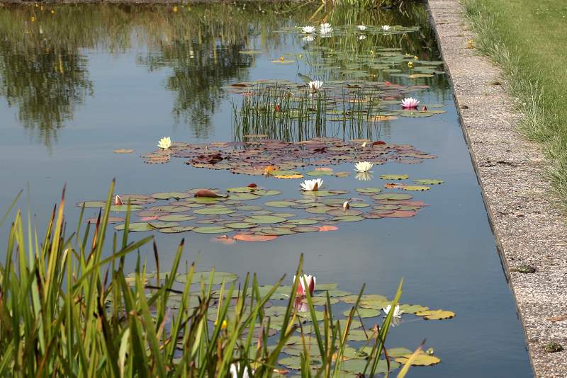Zwemvijver
