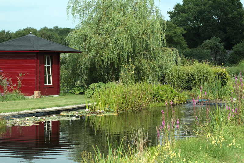 zwemvijver