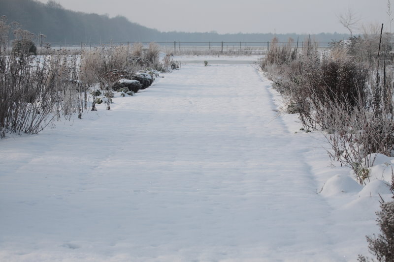 Zichtlijn huis-zwemvijver winter