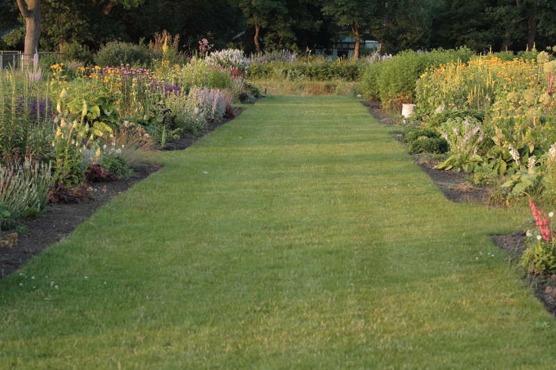 Zichtlijn zwemvijver-huis zomer