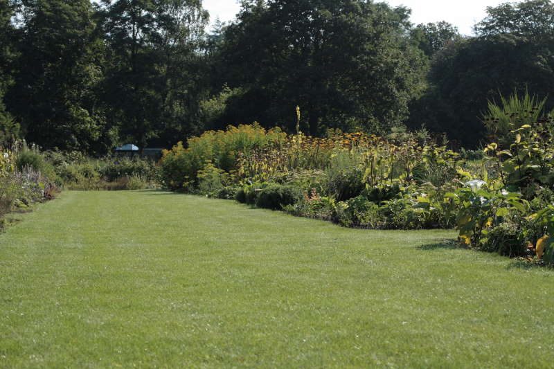 Zichtlijn zwemvijver-huis zomer