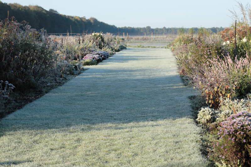 Zichtlijn huis-zwemvijver winter