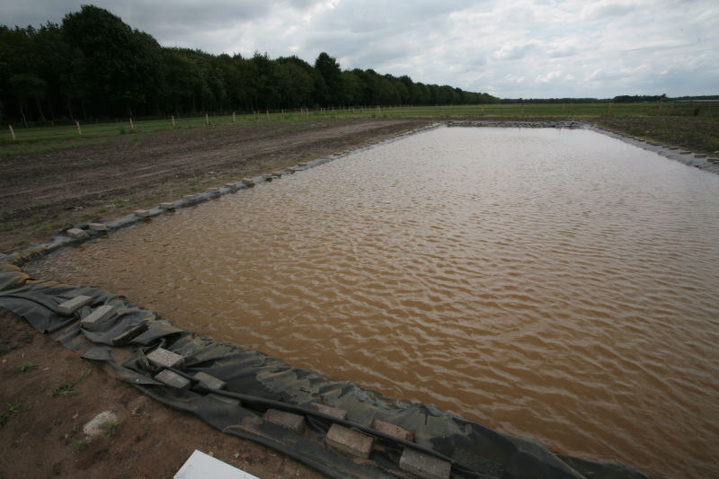 De oranje poel