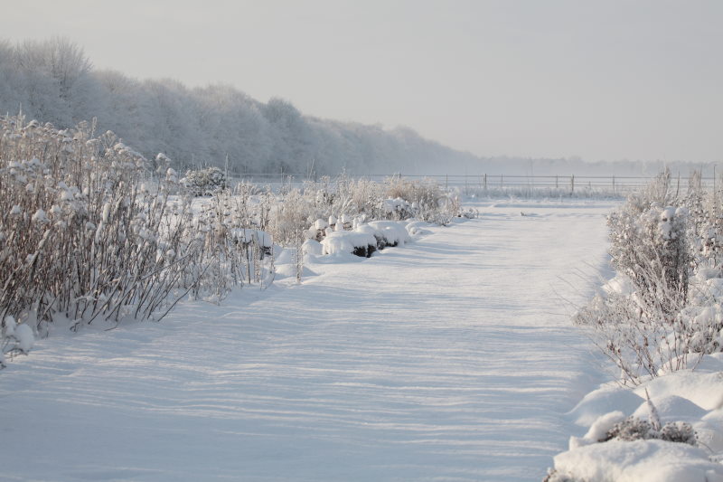Met twintig centimeter sneeuw