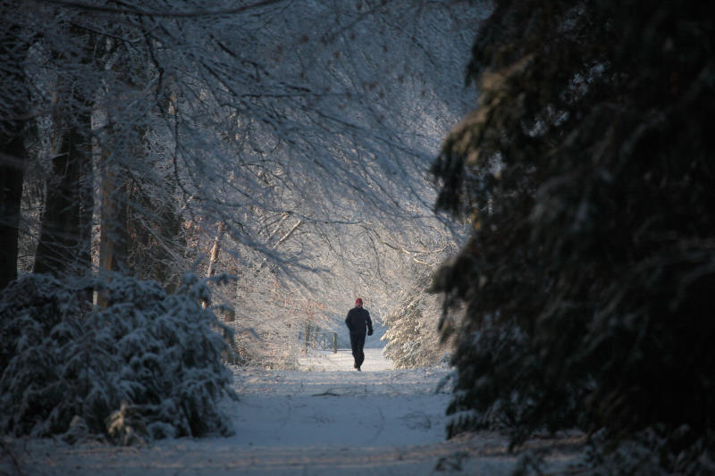 trimmer in het bos
